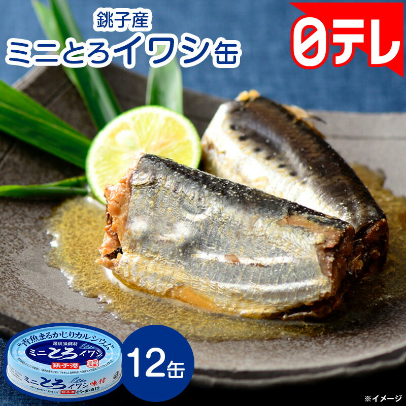 日テレポシュレで話題の「ミニとろイワシ缶」は本当に美味しい？気になる口コミやこだわりを徹底レビュー