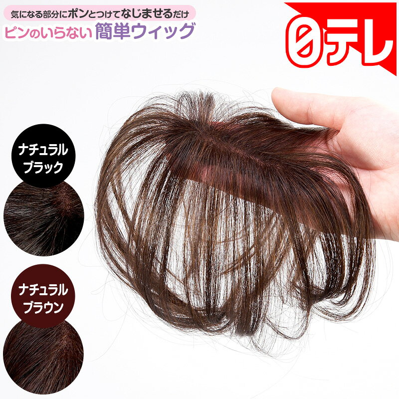 ピンのいらない簡単ウィッグ 日テレポシュレ(日本テレビ 通販 ポシュレ)の口コミ評判は？最安値や効果を徹底調査！