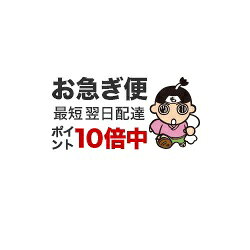 DR. PRODUCTION MEETS CASH FLOW（GUILTY）の口コミ評判！伝説的レゲエコンピの魅力を徹底解剖