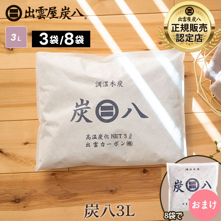 炭八（3L）は本当に湿気を吸い取る？テレビで話題の調湿木炭を実際に使って分かった実力