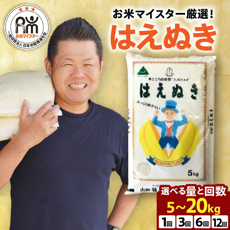 山形県米沢市産はえぬきの定期便は本当におすすめ？実際に選ばれる理由と気になる評判を徹底解説